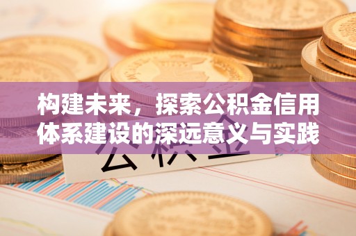 金山屯构建未来，探索公积金信用体系建设的深远意义与实践路径