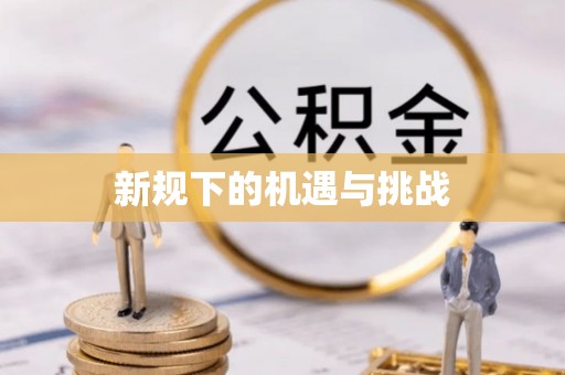 金山屯新规下的机遇与挑战