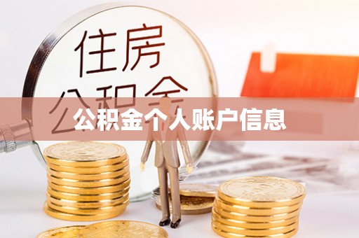 金山屯公积金个人账户信息