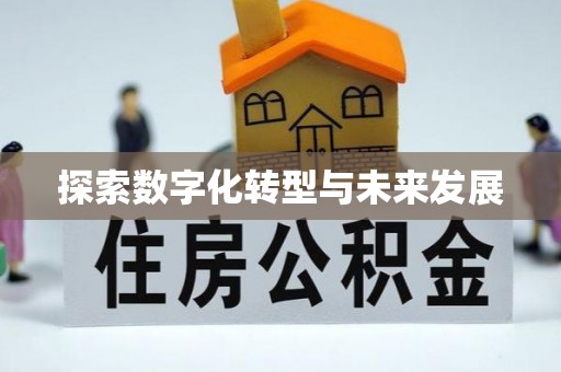 金山屯探索数字化转型与未来发展