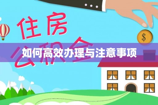 金山屯如何高效办理与注意事项