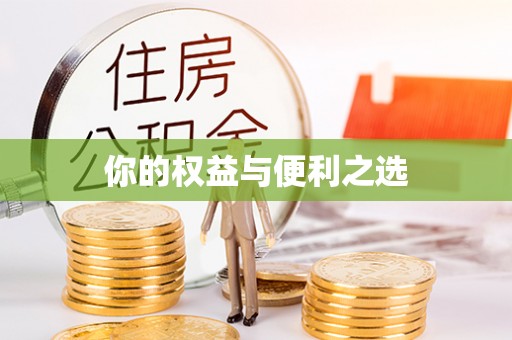 金山屯你的权益与便利之选
