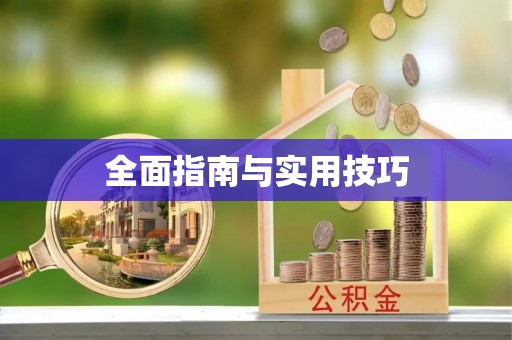 金山屯全面指南与实用技巧