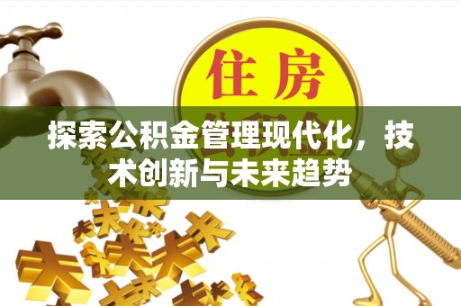金山屯探索公积金管理现代化，技术创新与未来趋势