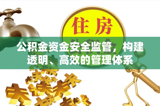 金山屯公积金资金安全监管，构建透明、高效的管理体系