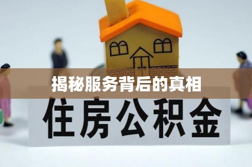 金山屯揭秘服务背后的真相