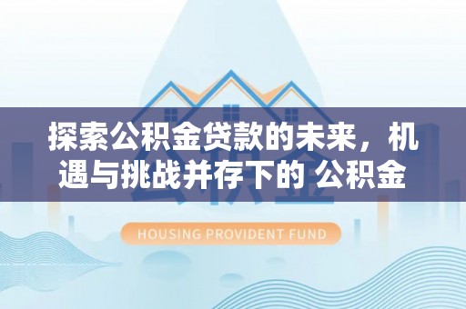 金山屯探索公积金贷款的未来，机遇与挑战并存下的 公积金贷款风险防控