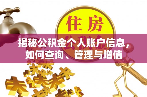 金山屯揭秘公积金个人账户信息，如何查询、管理与增值