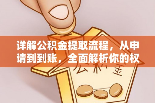 金山屯详解公积金提取流程，从申请到到账，全面解析你的权益与操作步骤