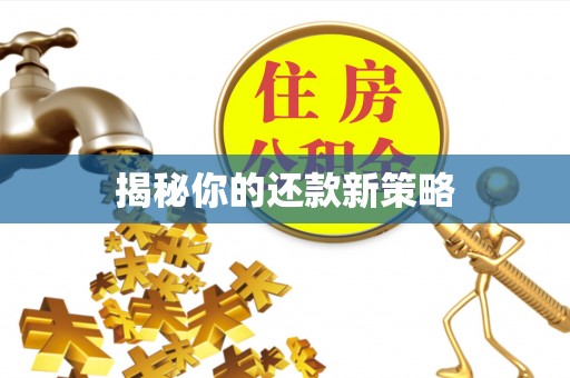 金山屯揭秘你的还款新策略