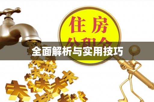 金山屯全面解析与实用技巧