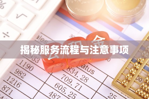 金山屯揭秘服务流程与注意事项