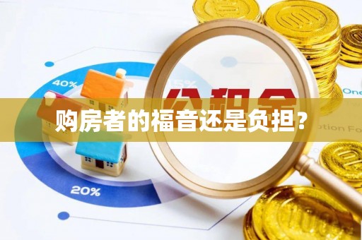 金山屯购房者的福音还是负担？
