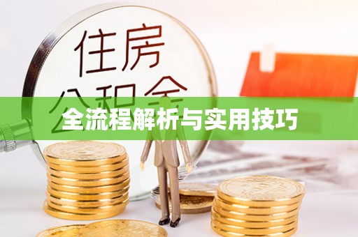 金山屯全流程解析与实用技巧