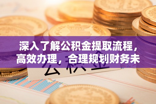 金山屯深入了解公积金提取流程，高效办理，合理规划财务未来
