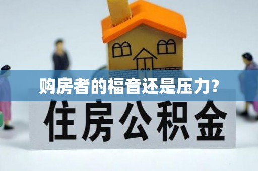 金山屯购房者的福音还是压力？