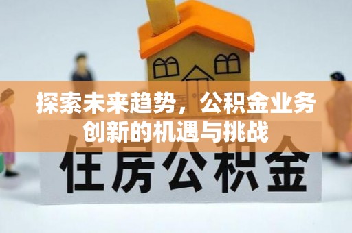 金山屯探索未来趋势，公积金业务创新的机遇与挑战