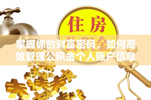金山屯掌握你的财富密码，如何高效管理公积金个人账户信息