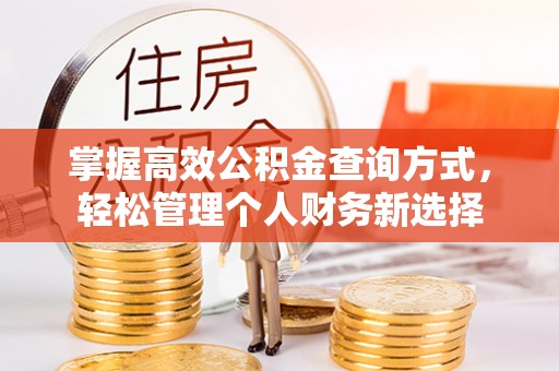 金山屯掌握高效公积金查询方式，轻松管理个人财务新选择