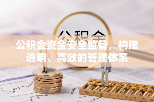 金山屯公积金资金安全监管，构建透明、高效的管理体系