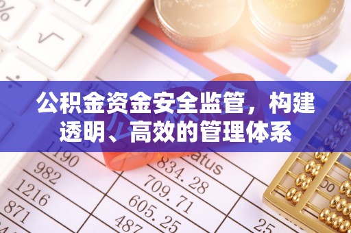 金山屯公积金资金安全监管，构建透明、高效的管理体系