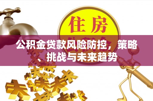 金山屯公积金贷款风险防控，策略、挑战与未来趋势