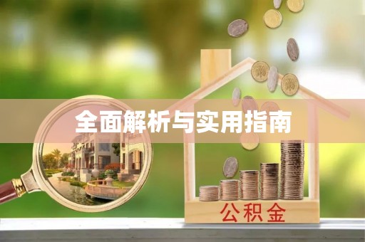金山屯全面解析与实用指南