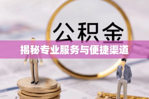 金山屯揭秘专业服务与便捷渠道