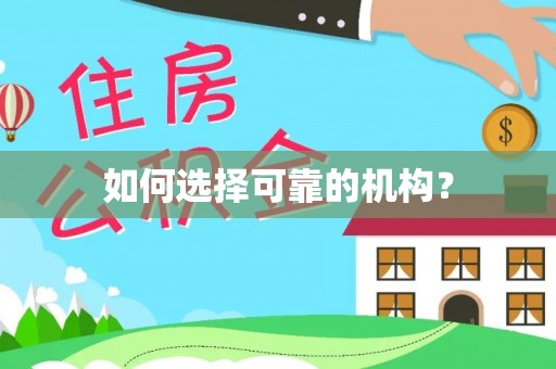 金山屯如何选择可靠的机构？