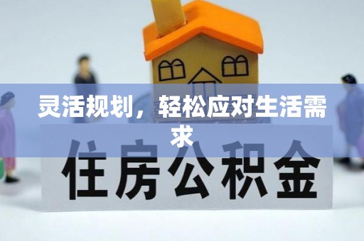金山屯灵活规划，轻松应对生活需求
