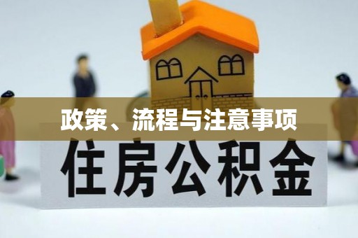 金山屯政策、流程与注意事项