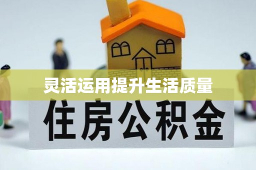 金山屯灵活运用提升生活质量