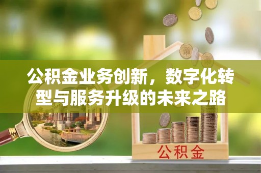 金山屯公积金业务创新，数字化转型与服务升级的未来之路
