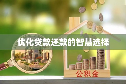 金山屯优化贷款还款的智慧选择