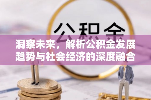 金山屯洞察未来，解析公积金发展趋势与社会经济的深度融合