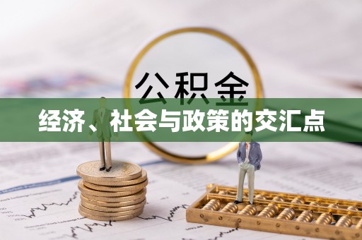 金山屯经济、社会与政策的交汇点