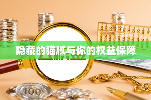 金山屯隐藏的猫腻与你的权益保障