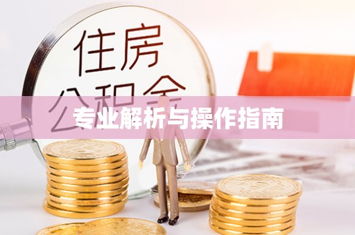 金山屯专业解析与操作指南