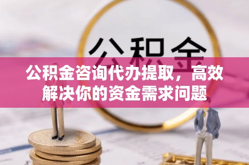 金山屯公积金咨询代办提取，高效解决你的资金需求问题