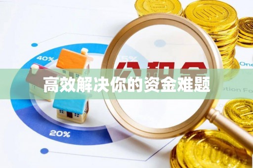 金山屯高效解决你的资金难题