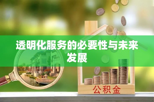 金山屯透明化服务的必要性与未来发展