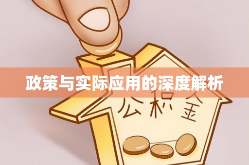 金山屯政策与实际应用的深度解析