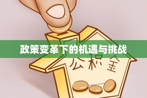 金山屯政策变革下的机遇与挑战