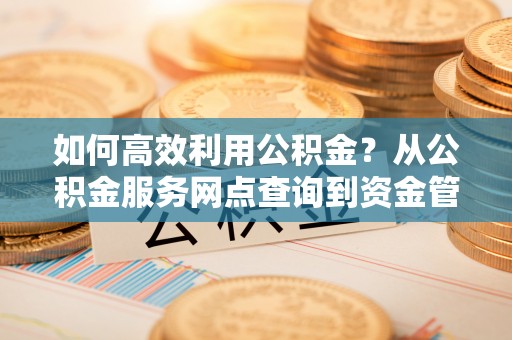 金山屯如何高效利用公积金？从公积金服务网点查询到资金管理全攻略