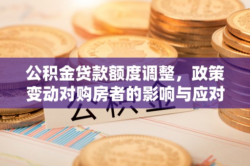 金山屯公积金贷款额度调整，政策变动对购房者的影响与应对策略