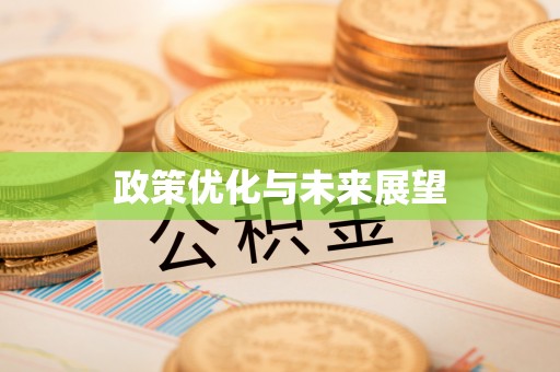 金山屯政策优化与未来展望