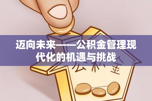 金山屯迈向未来——公积金管理现代化的机遇与挑战
