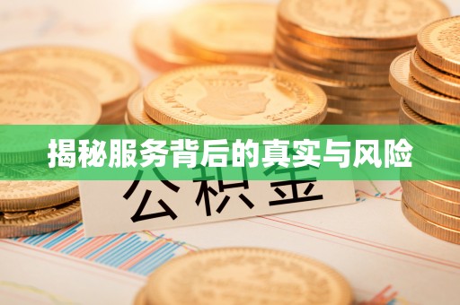 金山屯揭秘服务背后的真实与风险