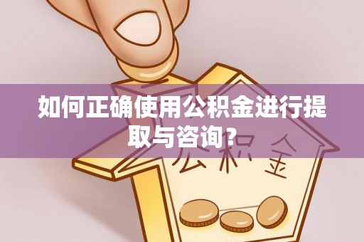 金山屯如何正确使用公积金进行提取与咨询？