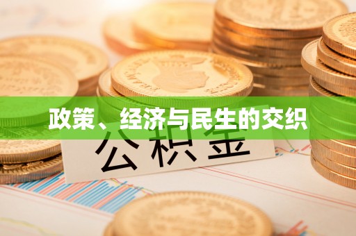 金山屯政策、经济与民生的交织